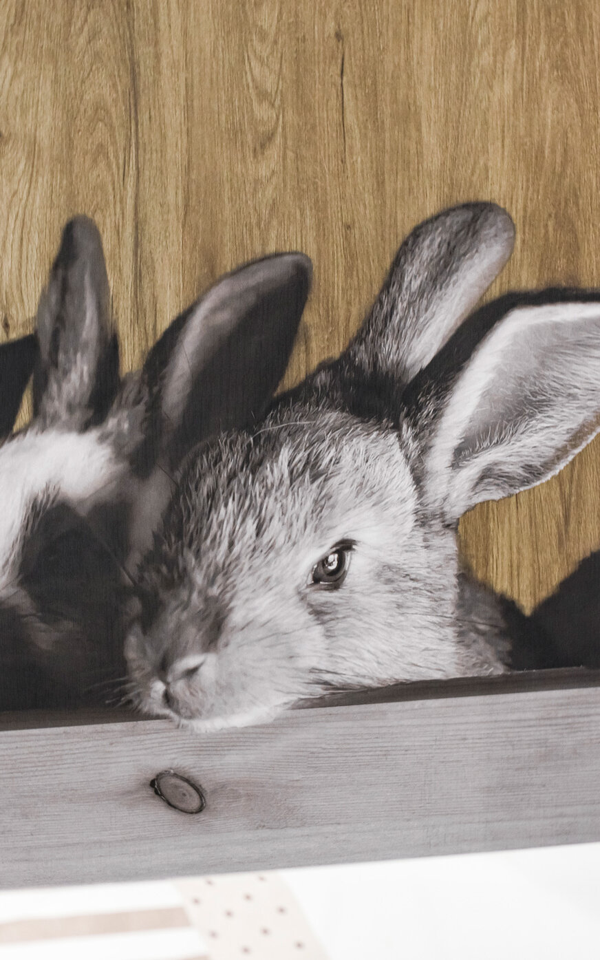 Berghotel Alp Sellamatt