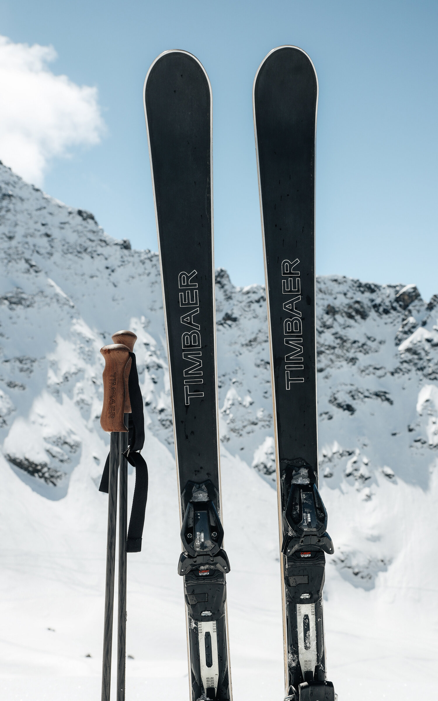 Timbaer, Zai und Argolite – Schweizer Qualitätshersteller spannen zusammen