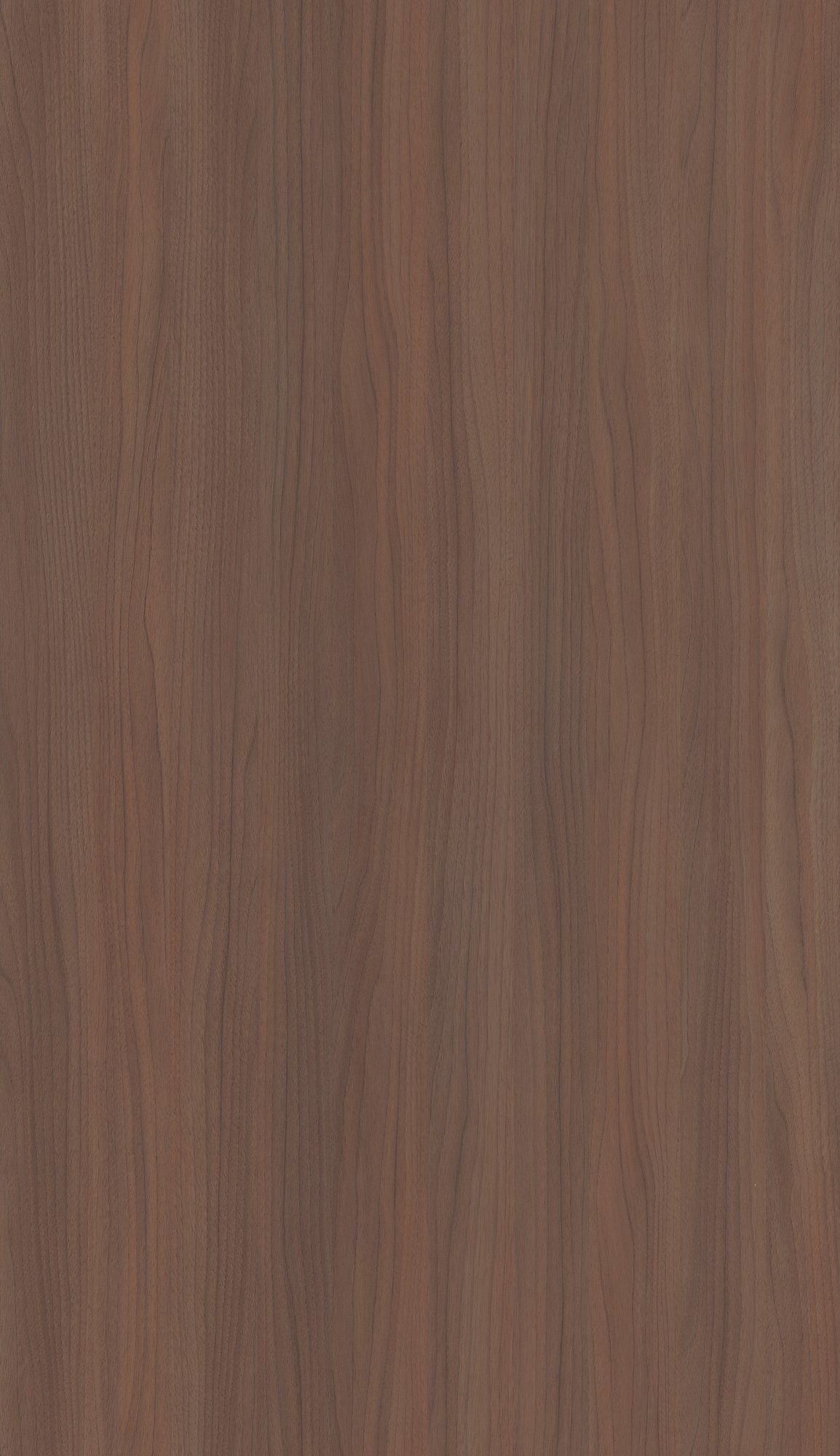 Noyer Ombré