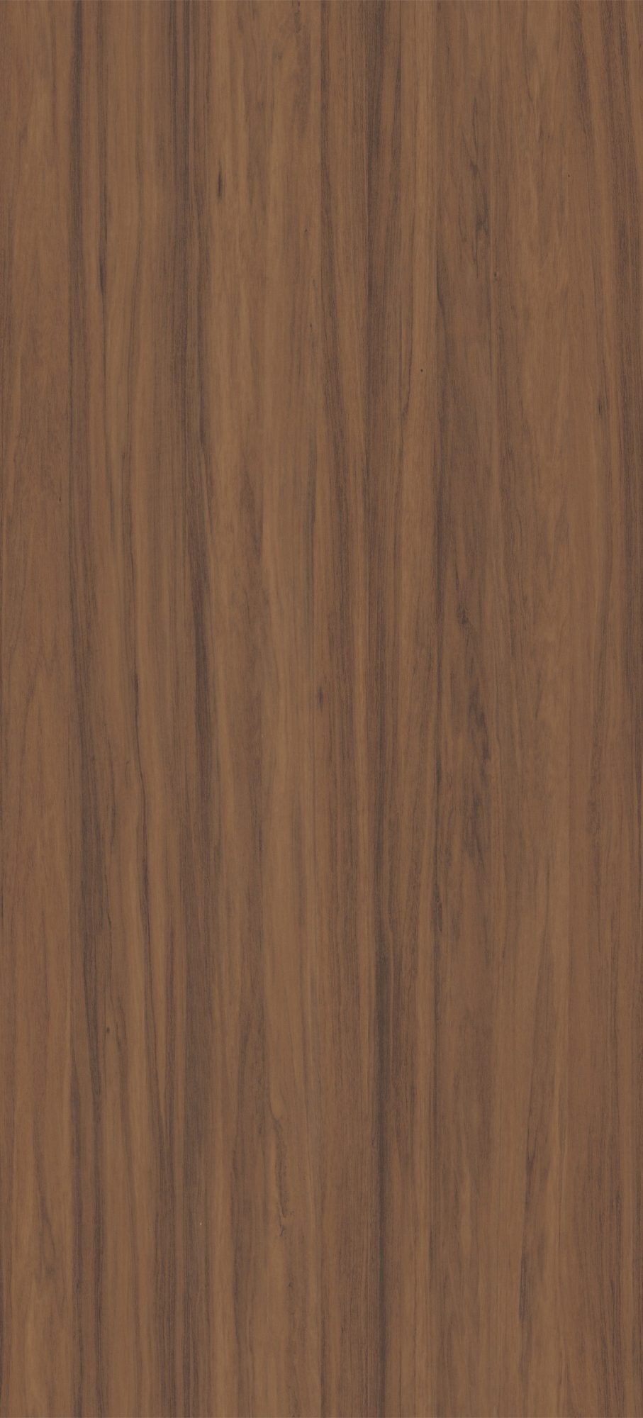 Noisetier Brun