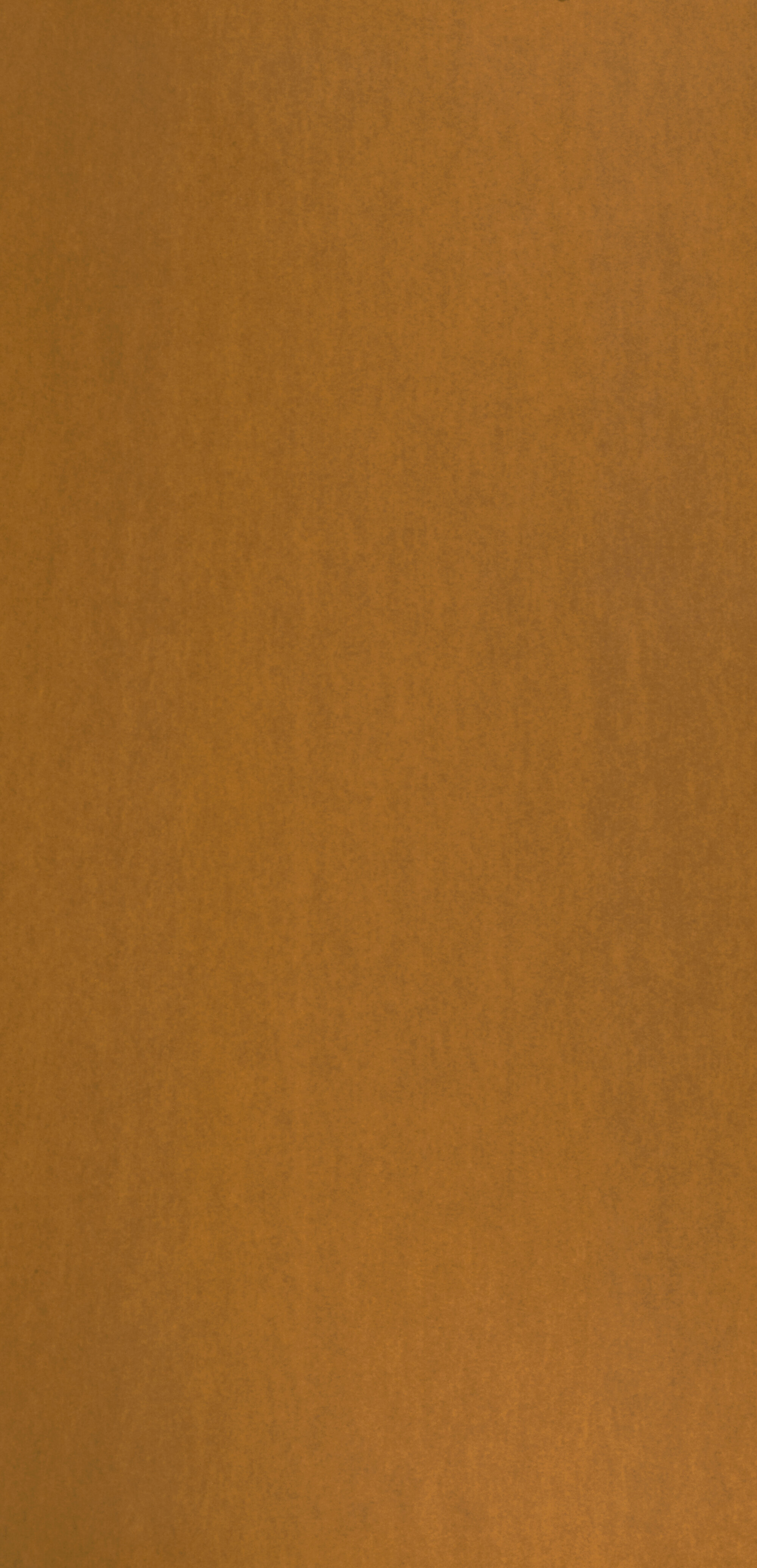 930/P281 AM