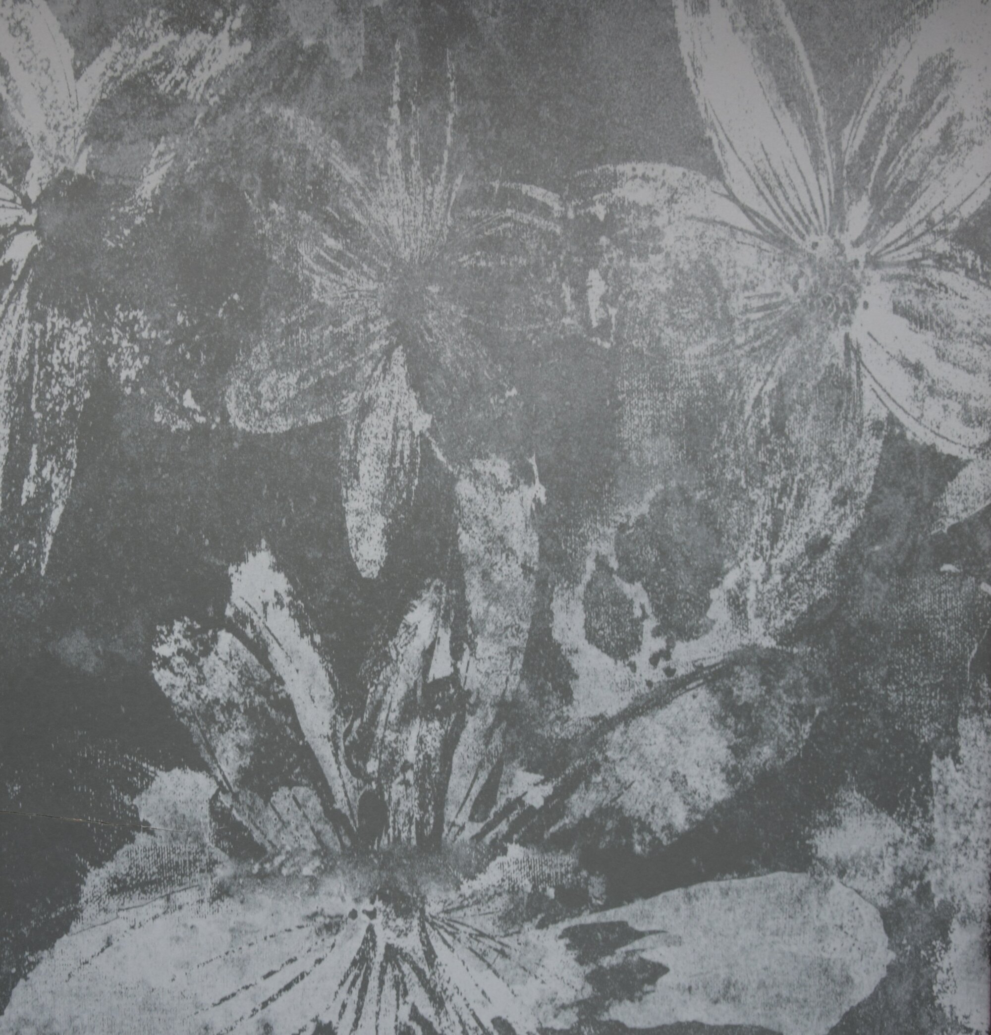 5001 - 422 I Flores Blancas