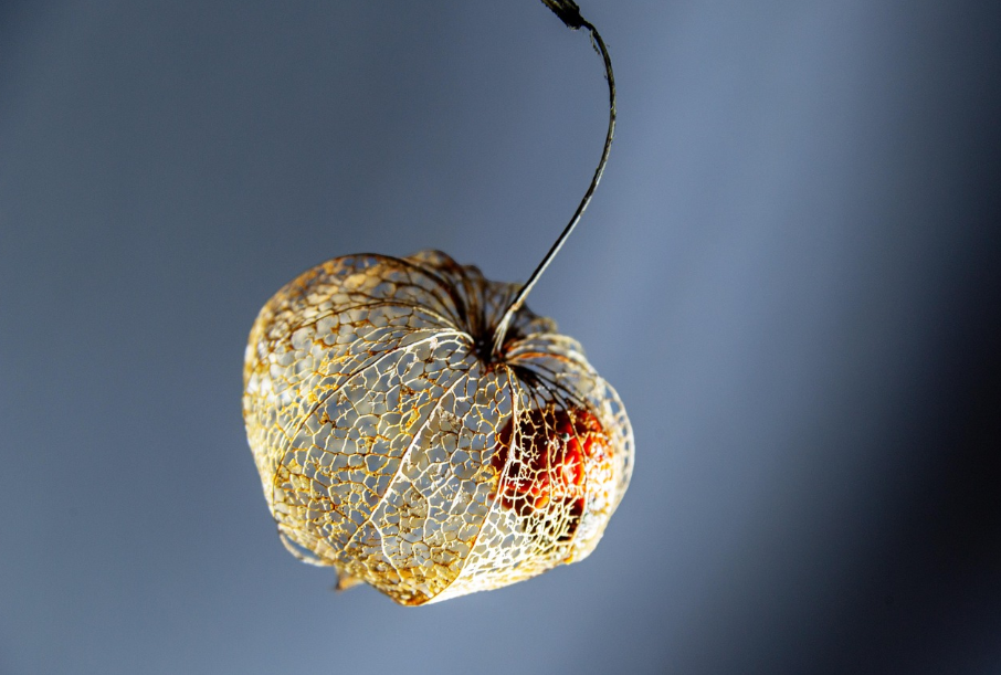 Farben des Monats - FEBRUAR