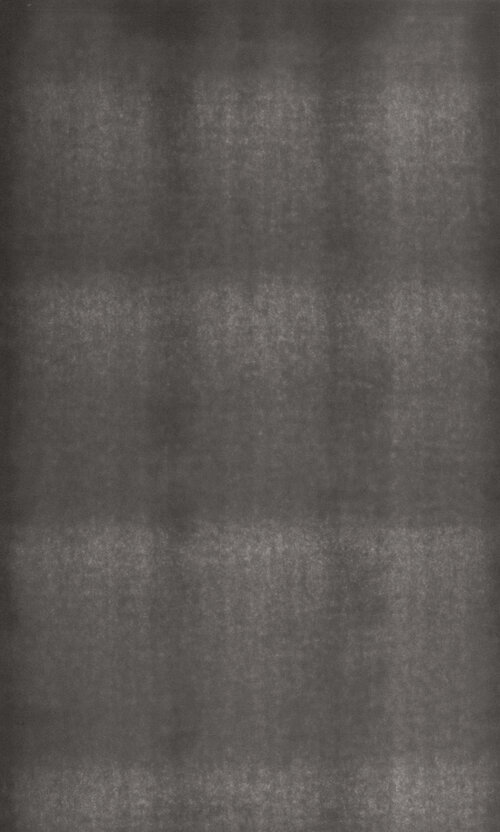 Naturfaser 908-G2_KA583985