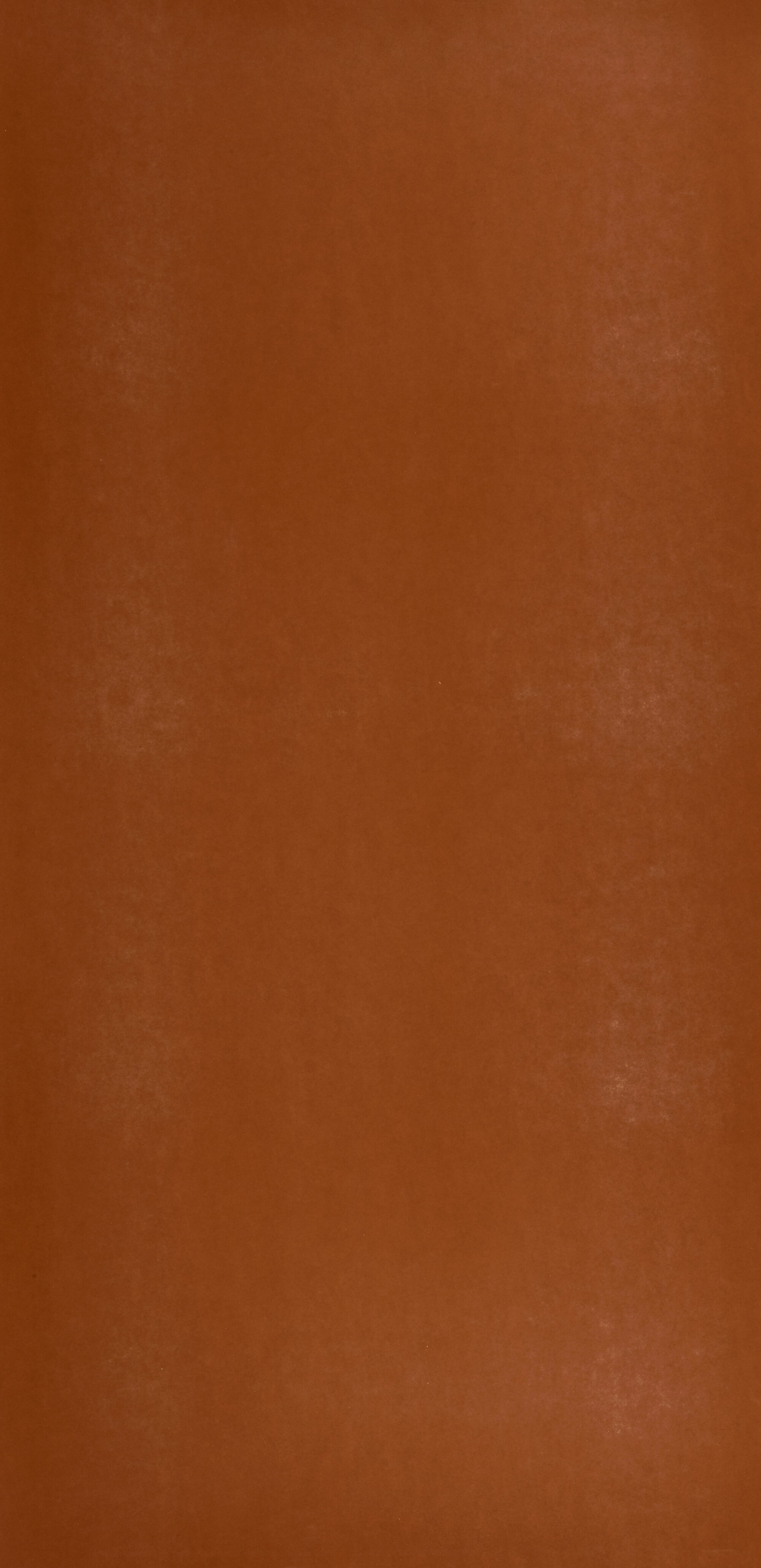 930/M373 AM / TR tectr
