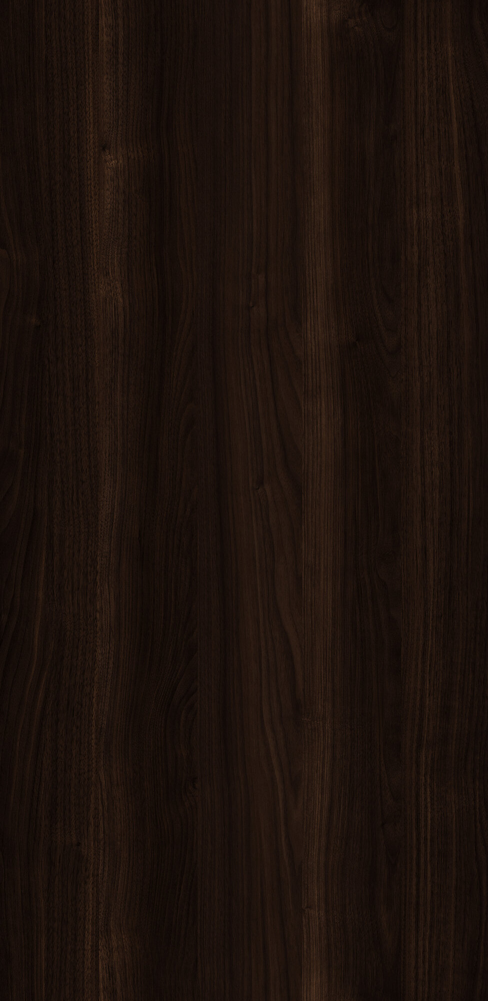 Kaiser Walnut