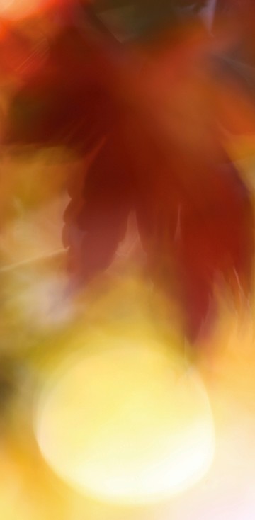 2012 - Day in Autumn