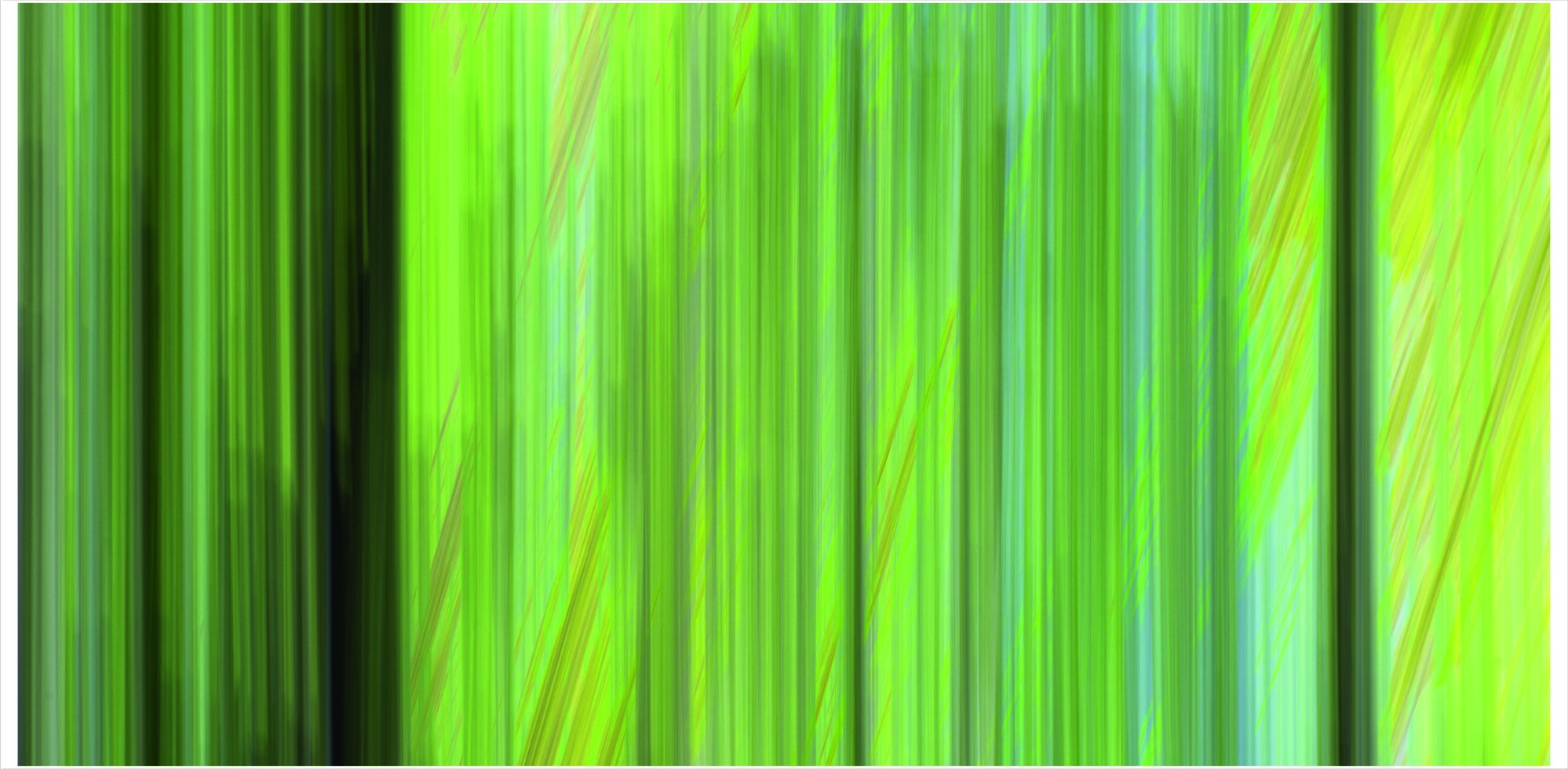 2003 - Frühlingswald