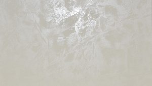 217 Weiss + Oberfläche PI