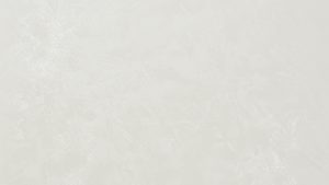 306 Schneeweiss + Oberfläche PI