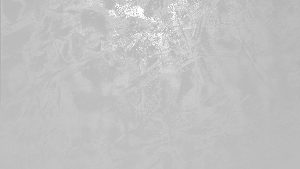 330 Grauweiss + Oberfläche PI