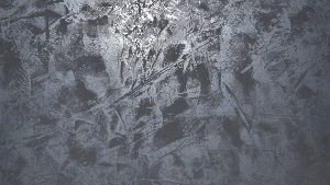 381 Cobra + Oberfläche PI