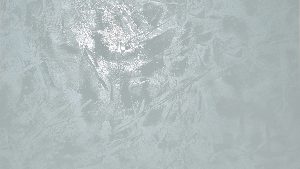 395 Wermut + Oberfläche PI