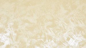 398 Cydonia + Oberfläche PI