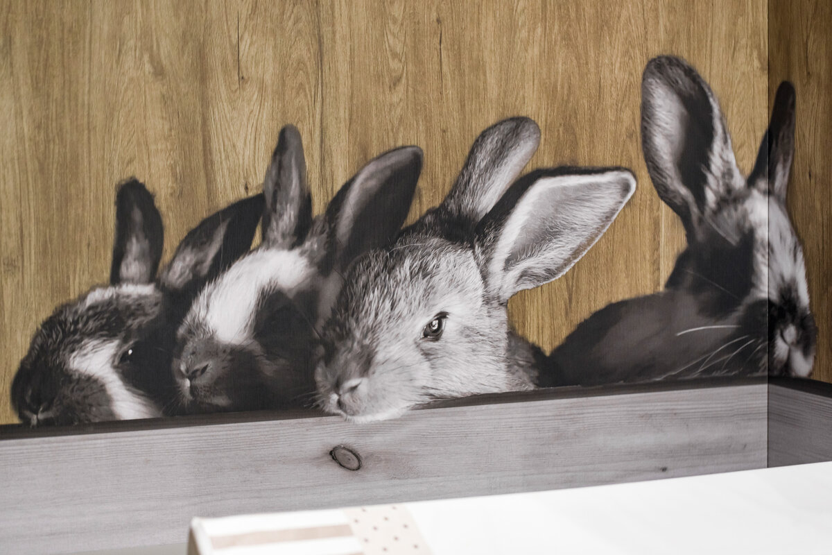 Berghotel Alp Sellamatt 1