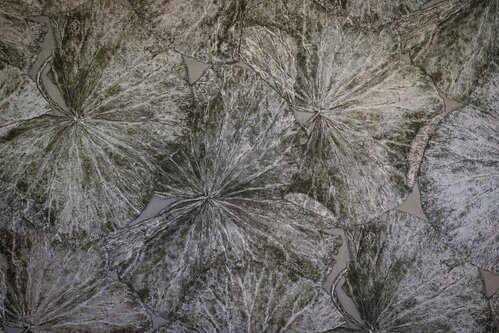 Argoprint - Kundensujets